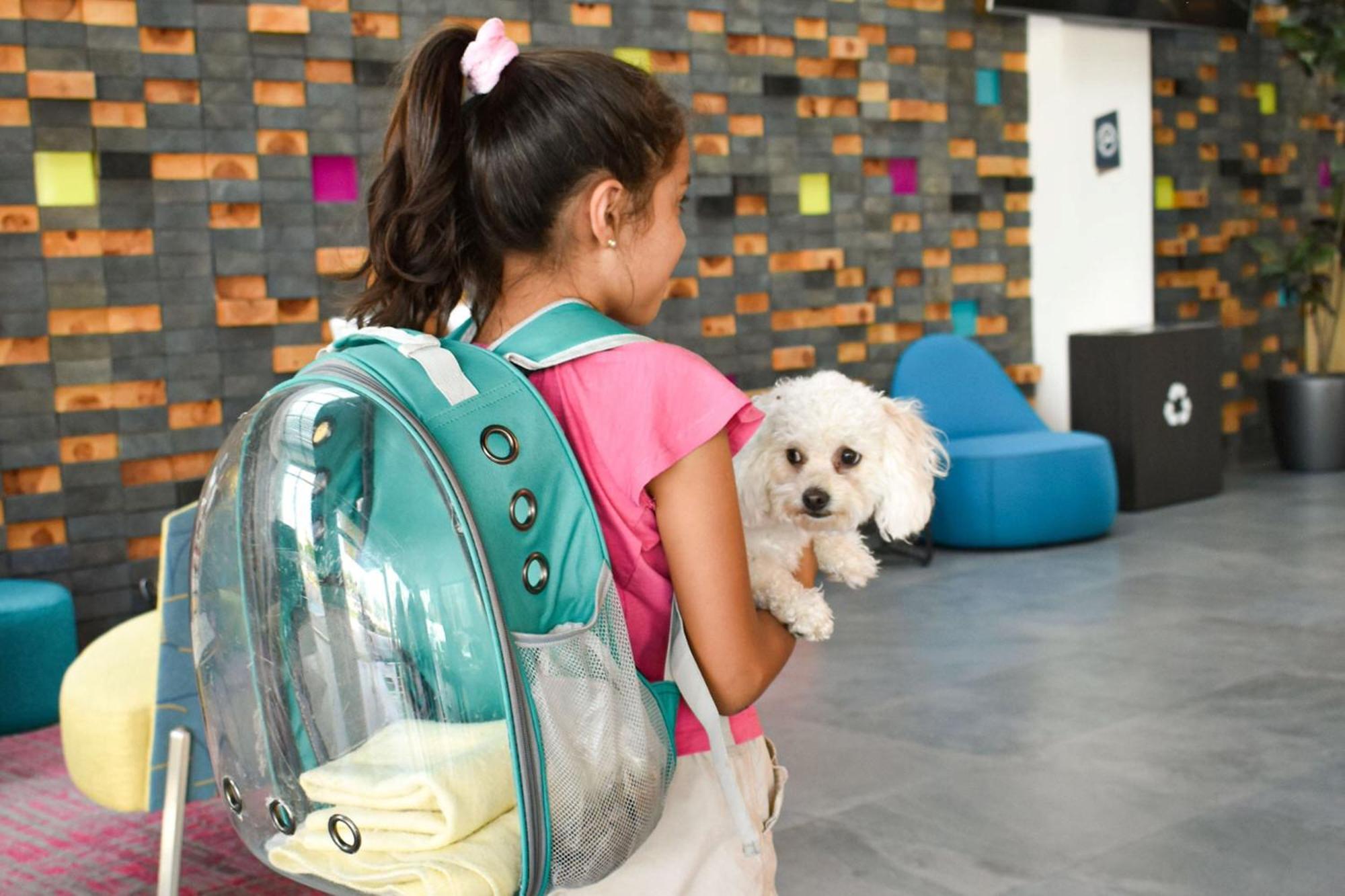 Hotel Aloft Queretaro El Salitre Zewnętrze zdjęcie